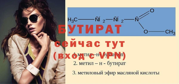 шишки Дмитриев