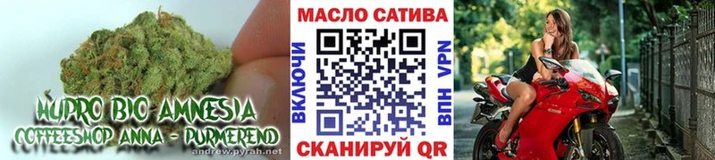 Дистиллят ТГК THC oil Ростов